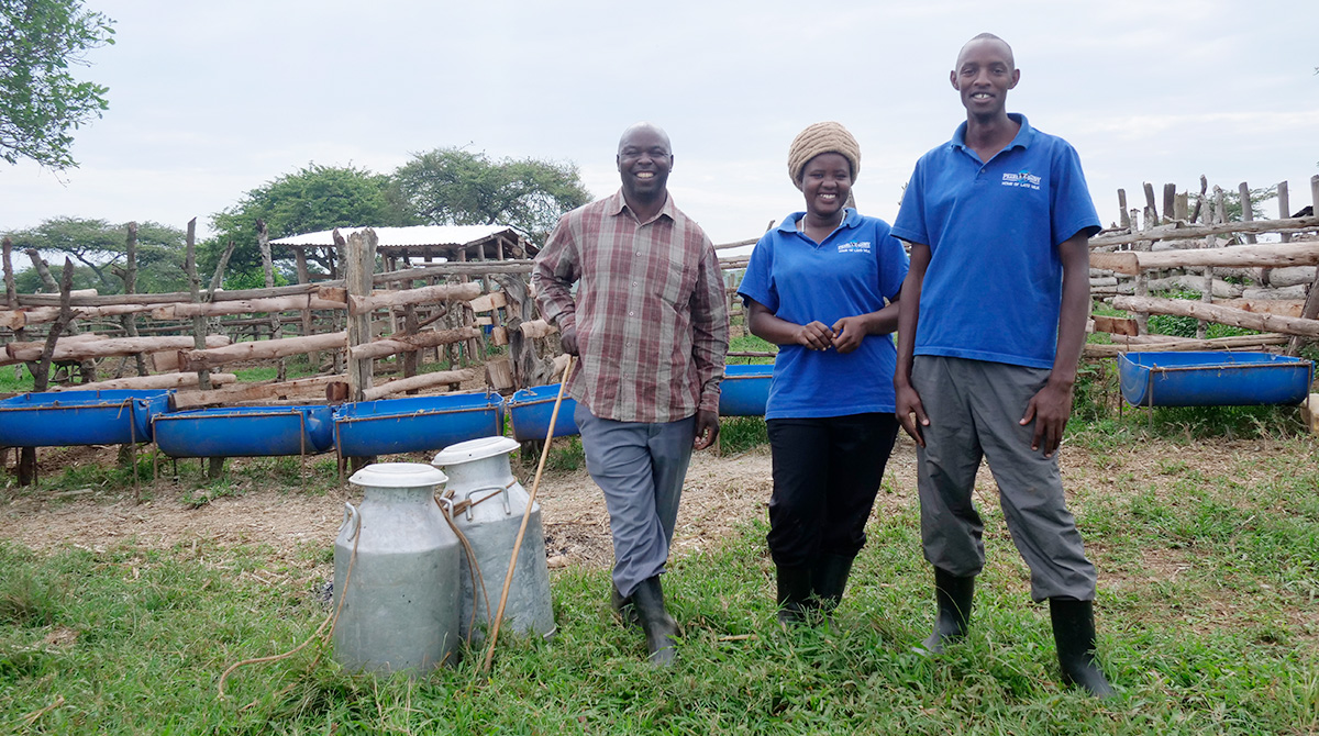 The DDEs assisting farmers with milk collection