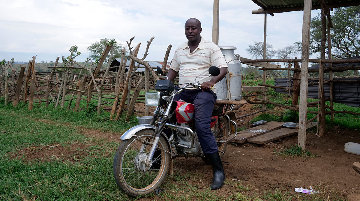 The Lead Farms are provided with Milk collection cans for safe and effective transportation of the milk to Milk Collection Centers near them