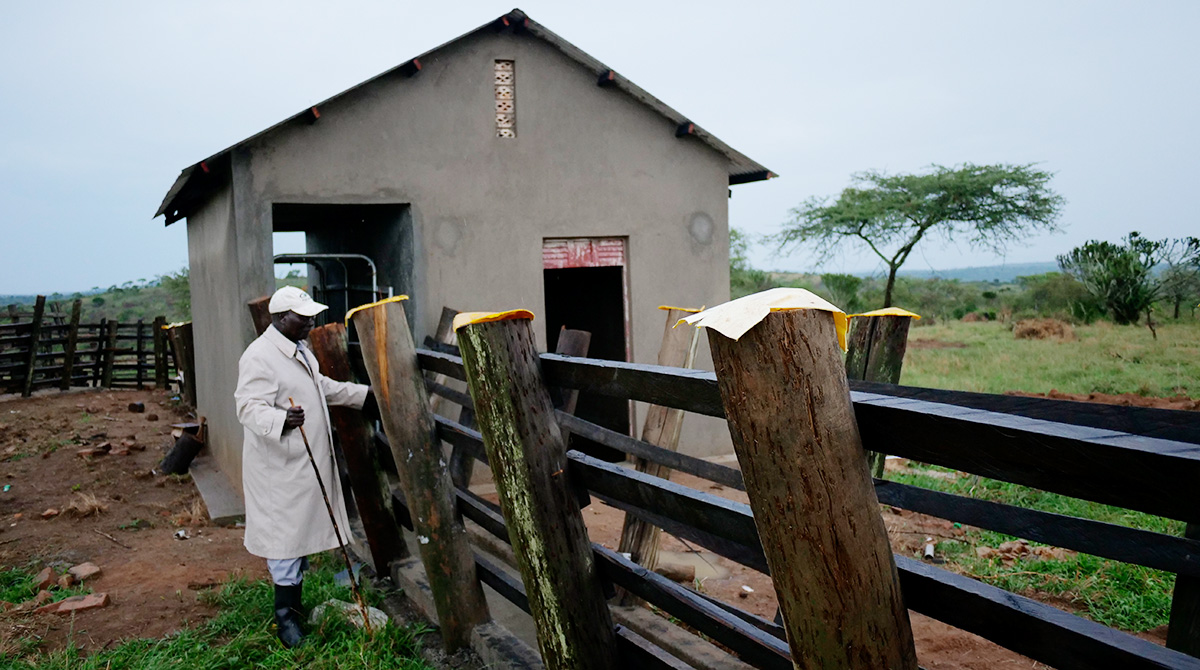 The DDEs are trained to provide inputs and feedbacks to farmers for the construction of Spray races