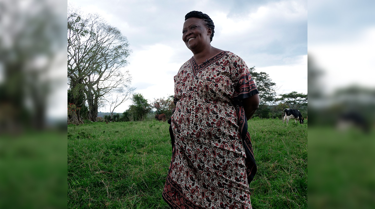 A happy farmer part of the DDP