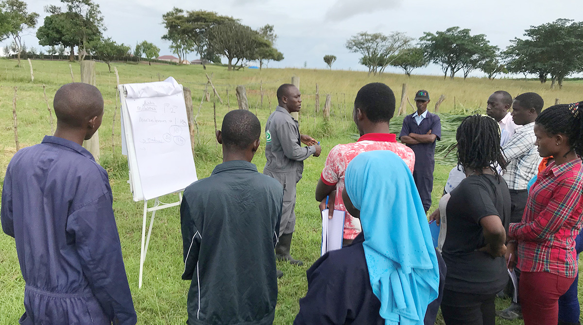 The DDEs being taught practically how to make silages in the farm