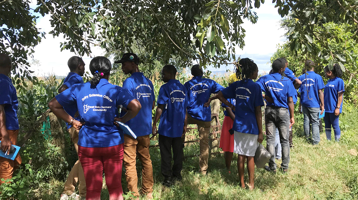 The DDEs being taken to the Forage fields of NARO Uganda as part of their training.