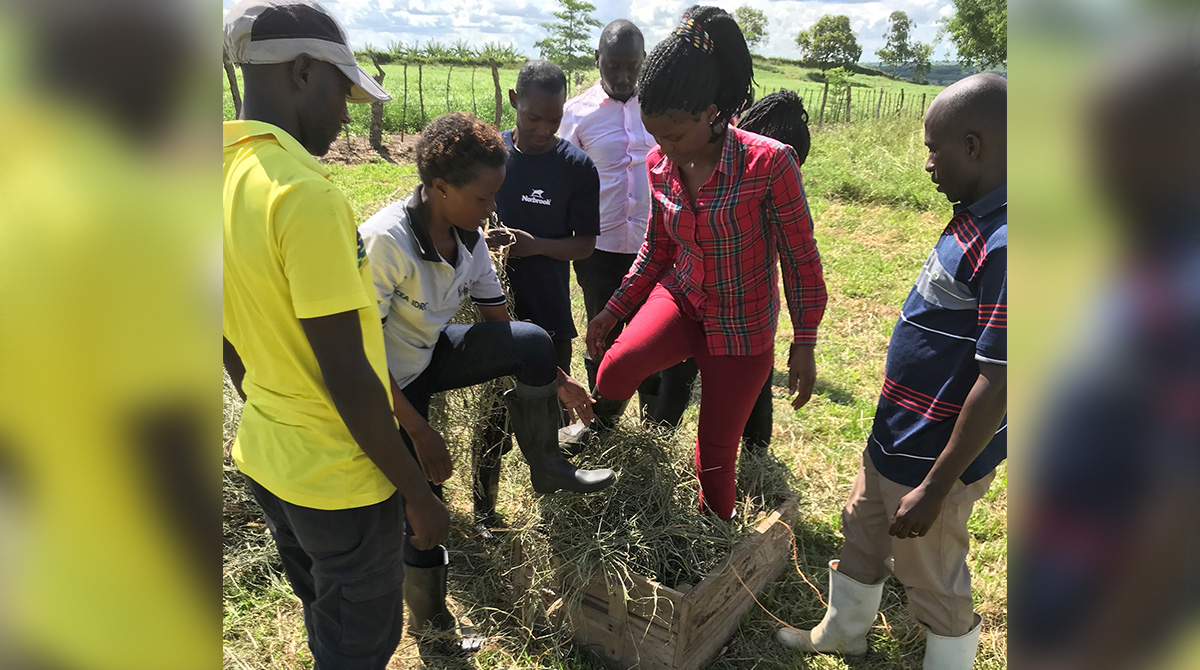 The final Hay Bale made by the first set of DDE Trainees